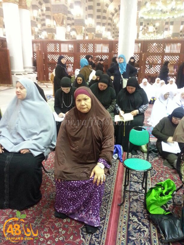 mo3tmreen yfasafa3 (23).JPG